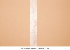 环保再生纸壳箱绿色包装循环使用 BX09