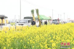 （走进中国乡村）江淮侨乡六家畈春日文旅热潮涌